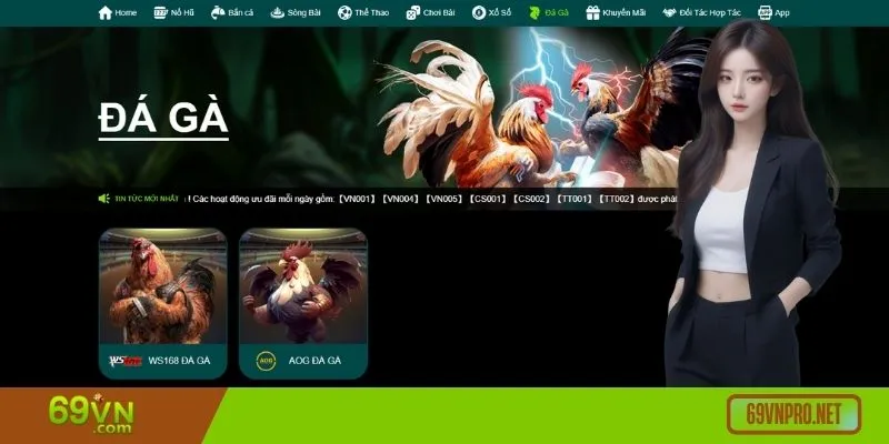 Đá gà có nhiều hình thức cược, hội viên dễ dàng tham gia